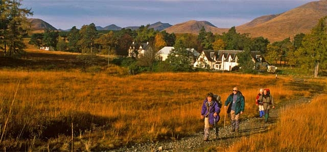  Camicrema en el campo 